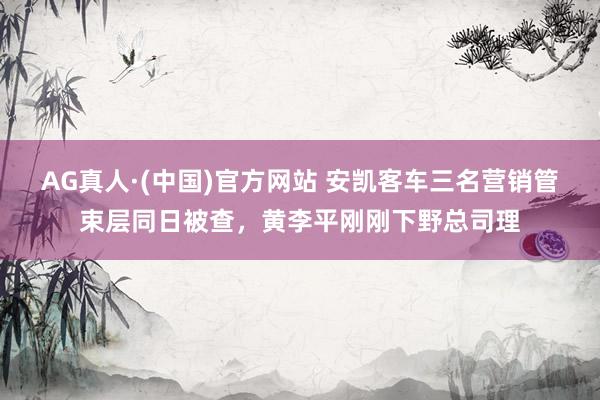 AG真人·(中国)官方网站 安凯客车三名营销管束层同日被查，黄李平刚刚下野总司理