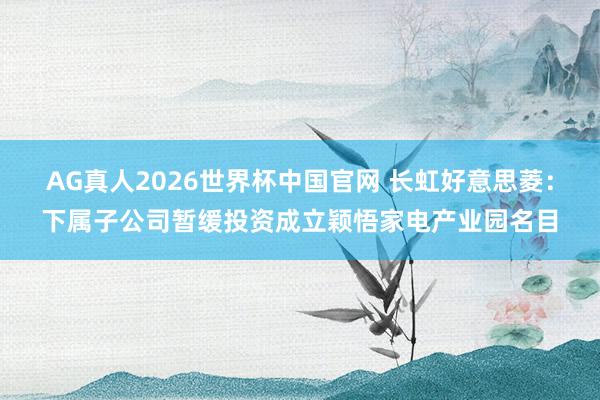 AG真人2026世界杯中国官网 长虹好意思菱：下属子公司暂缓投资成立颖悟家电产业园名目
