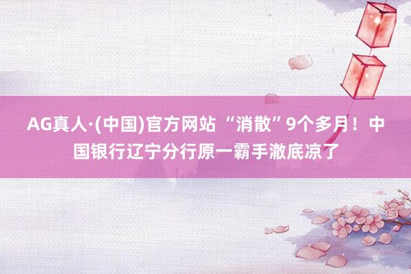 AG真人·(中国)官方网站 “消散”9个多月！中国银行辽宁分行原一霸手澈底凉了