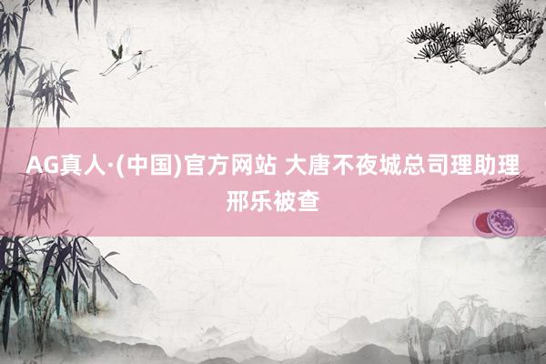 AG真人·(中国)官方网站 大唐不夜城总司理助理邢乐被查