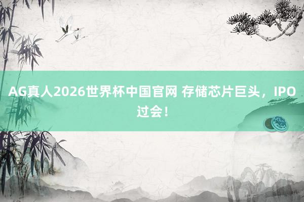 AG真人2026世界杯中国官网 存储芯片巨头，IPO过会！