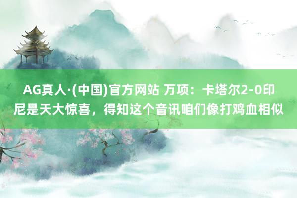 AG真人·(中国)官方网站 万项：卡塔尔2-0印尼是天大惊喜，得知这个音讯咱们像打鸡血相似